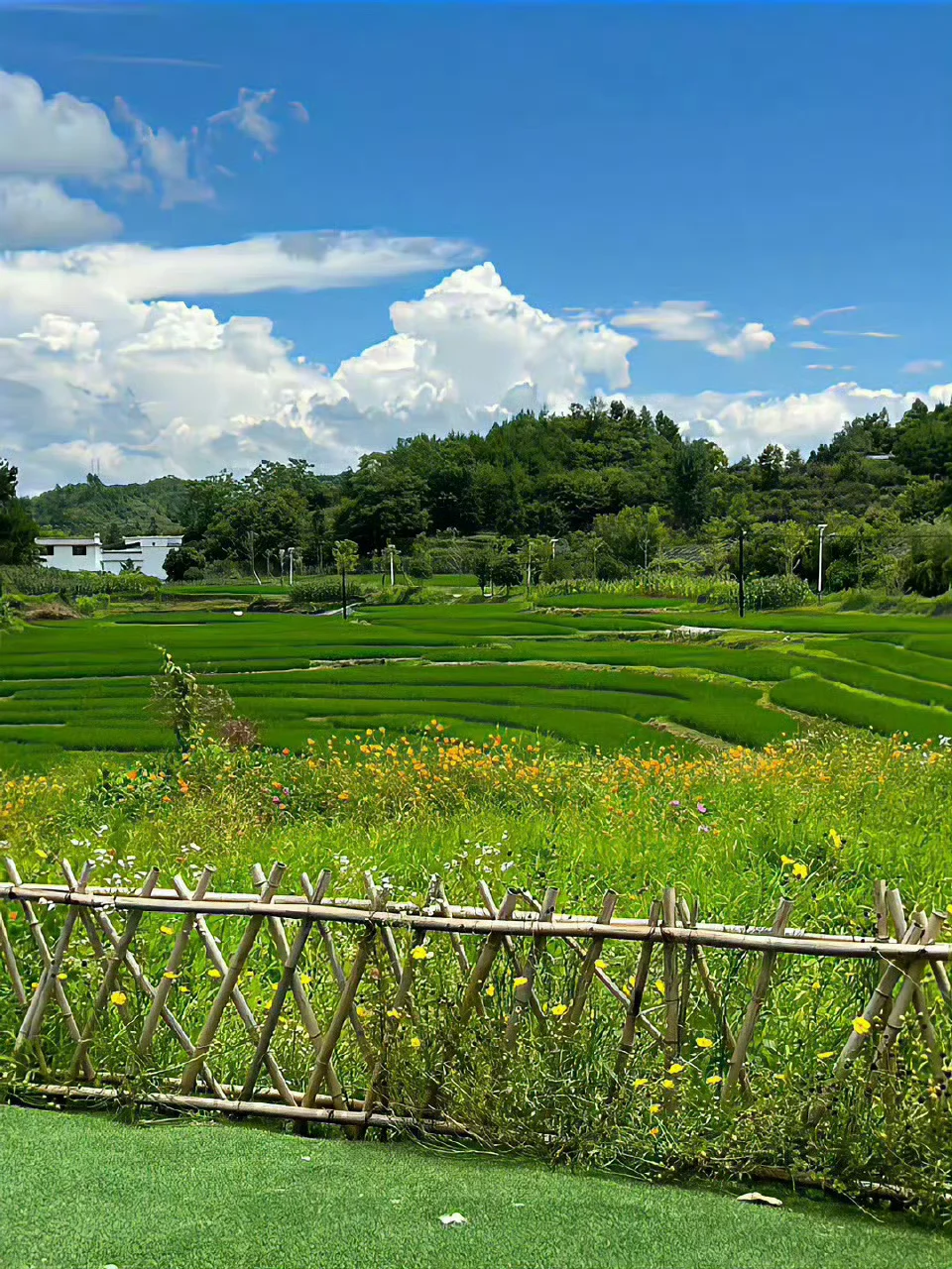 前天有个粉丝跟我说，她在2026年3月2日报送一家电商企业2月增值税的...