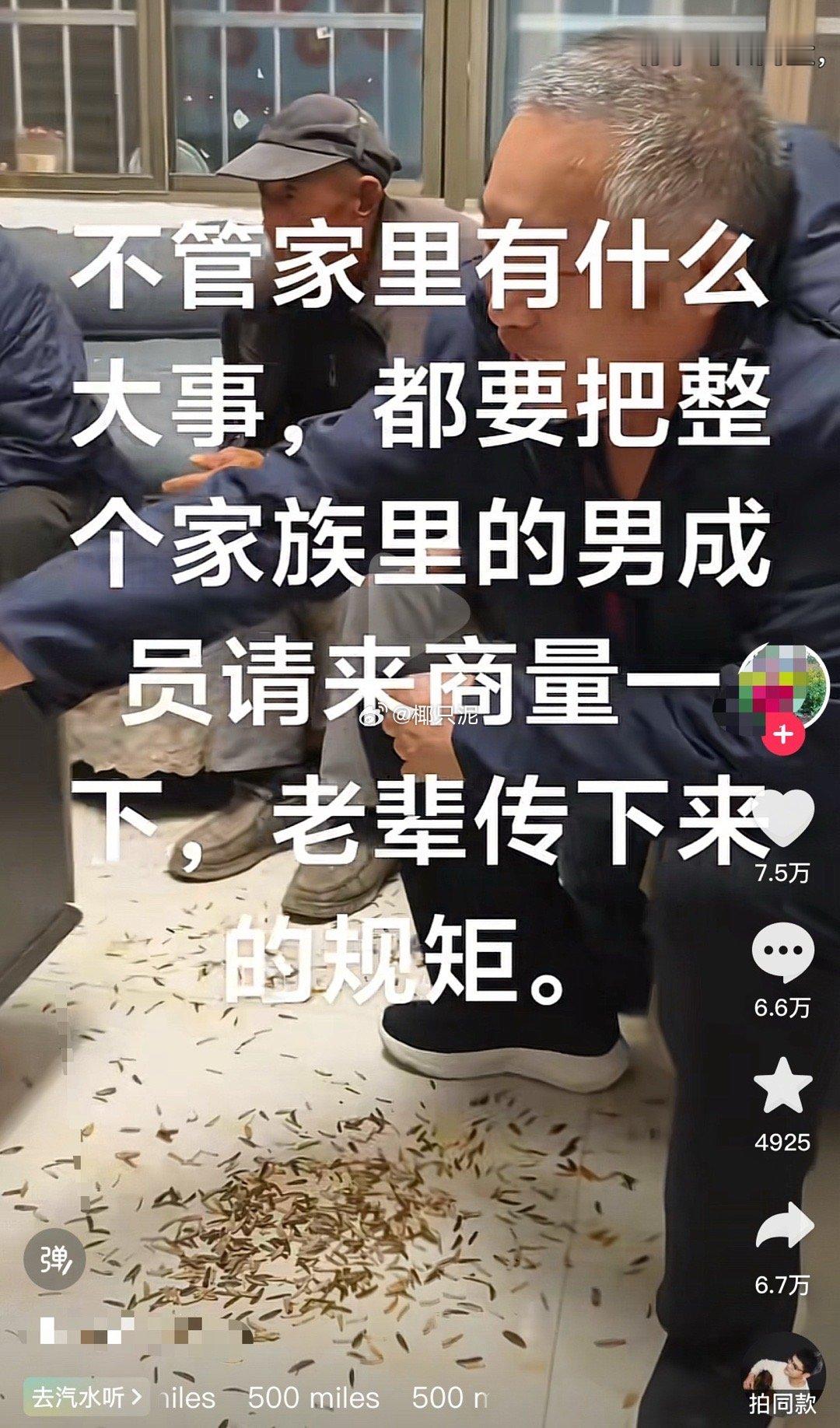 一屋子人加起来都研究不明白怎么用智能手机设闹钟能把瓜子皮扫了都算通人性了