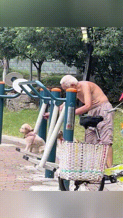 乖乖嘞！俺家爷爷那叫一个宠狗，天天骑着车带着俩狗子，风风火火往公园健身去！