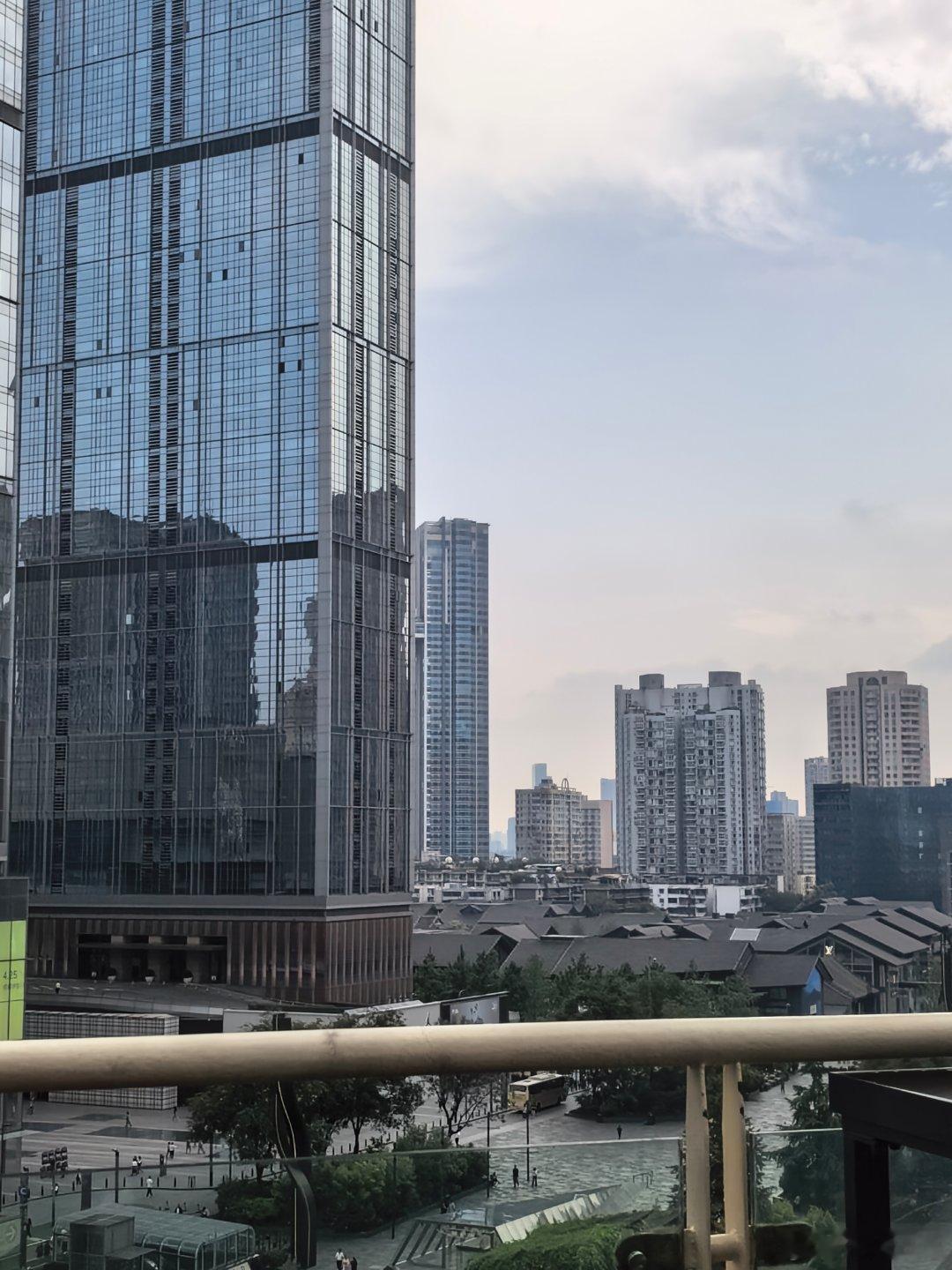 天气很舒服，泡茶遛狗儿子​​​