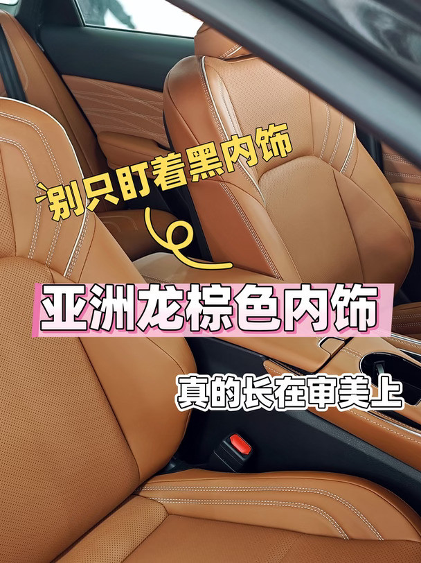 别只盯着黑内饰！亚洲龙棕内真的长在审美上