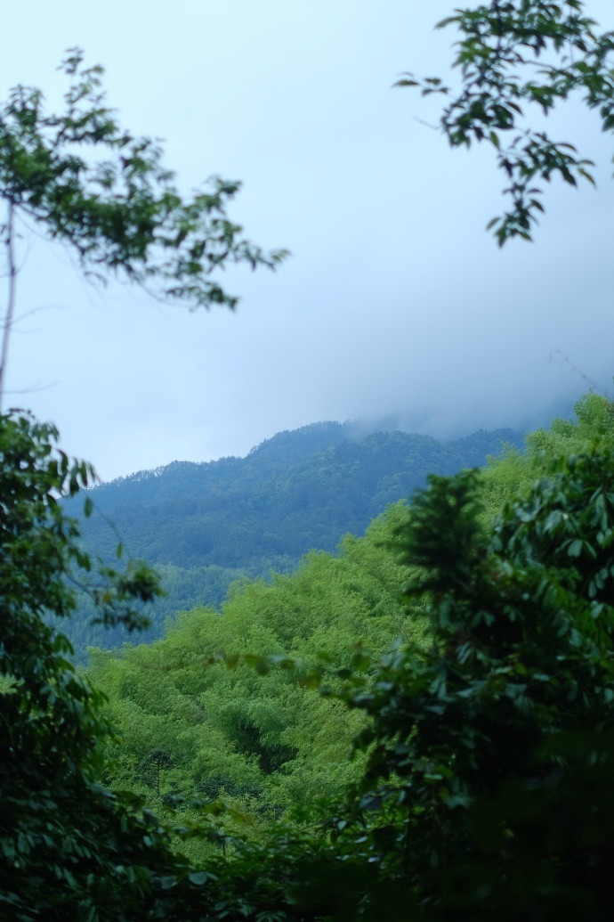 山里的夏天，清凉度之。​​​​