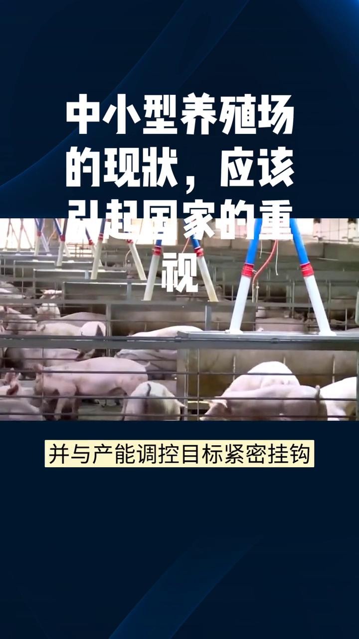 中小型养殖场的现状应该引起国家的重视。守护中小养殖户就是守护乡村的根基与未来。