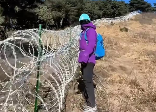 泰山铁蒺藜拆了，两千多万买了个教训：有些决定，当初该再多想想泰山景区说，花25