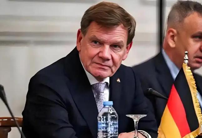 如果德国外长访华,只是为了要求我们放开稀土出口和不准武力解放台湾,那他们即便来了