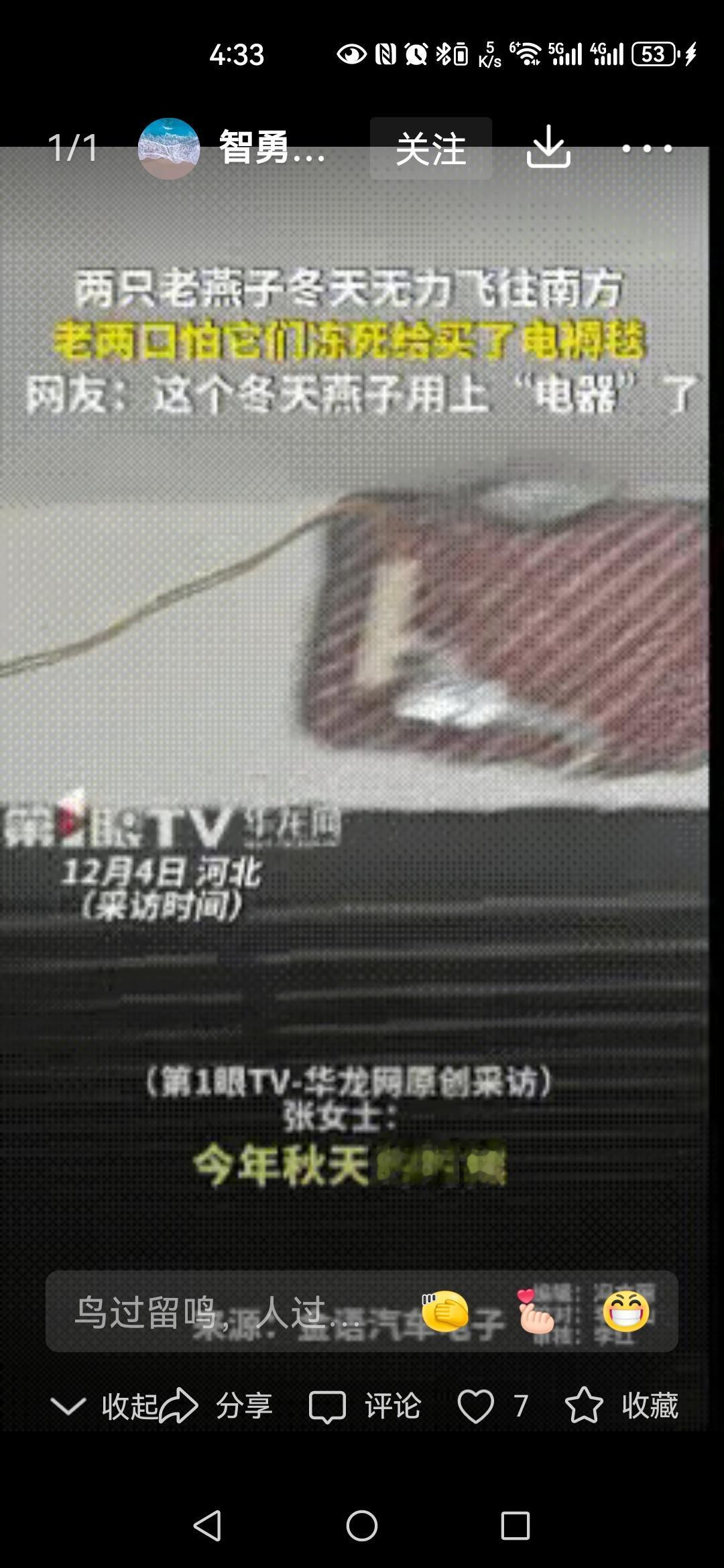 万物皆有灵！在河北保定的一个普通家庭里，发生了一件令人动容的小事：两只年迈的燕子