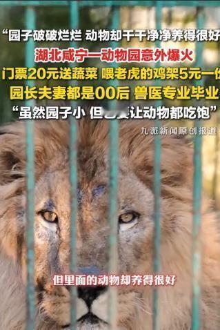 破防了！万万没想到，湖北咸宁深藏的一家老旧动物园竟因一对00后兽医夫妻的真心守护