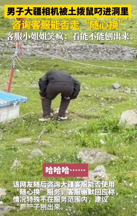 “笑不活了！”四川，男子拍摄土拨鼠，刚将录像设备放洞口，结果，下一秒就被土拨鼠叼