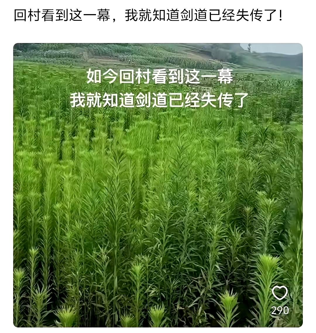 这个梗，你能看懂吗？