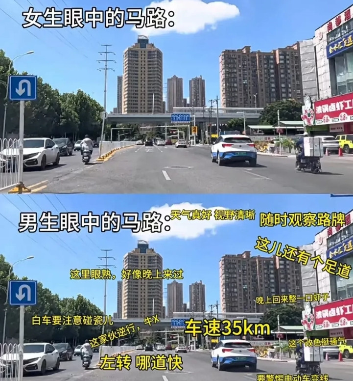 男生vs女生开车时候的视界，不得不承认，惊呆了啊。[捂脸哭][捂脸哭][捂脸