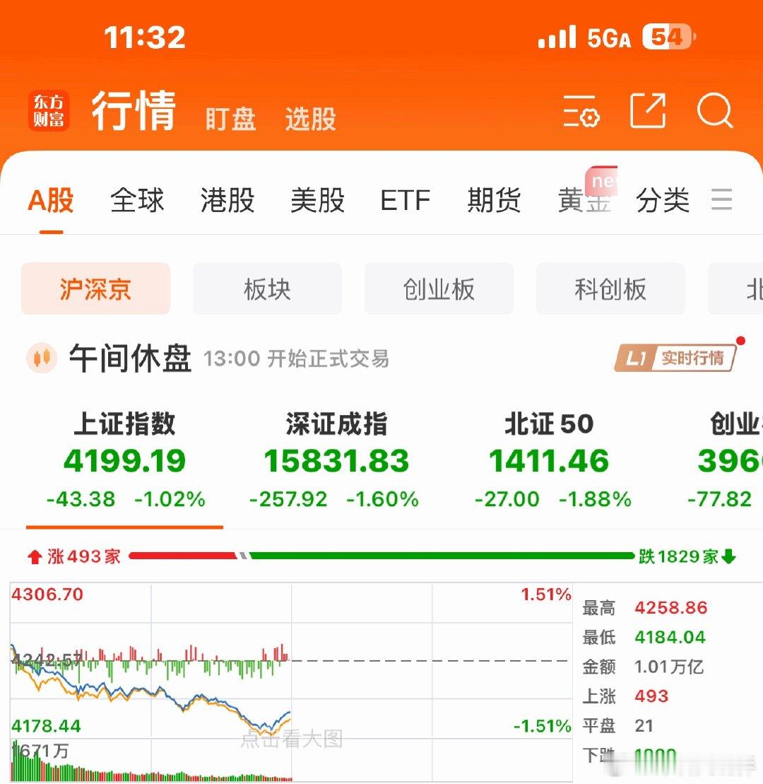 大盘跌成这样，今天追高又被埋了😂哈哈，心态崩了但又觉得好笑！是不是跟普访华有关