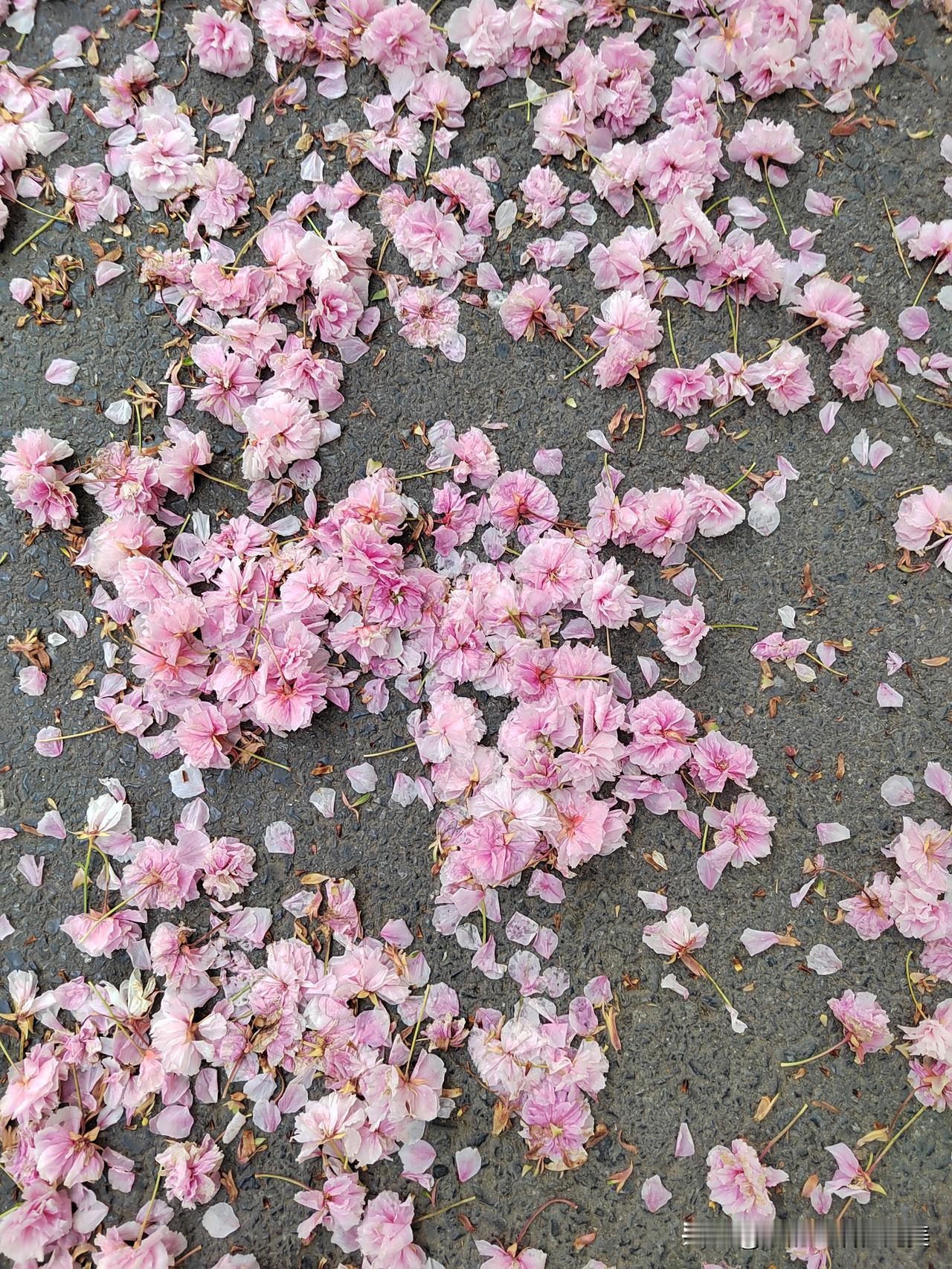 办公室姐妹吐槽：婆婆偏心还住一起，我快被婆媳矛盾逼疯了真的快被办公室的姐妹