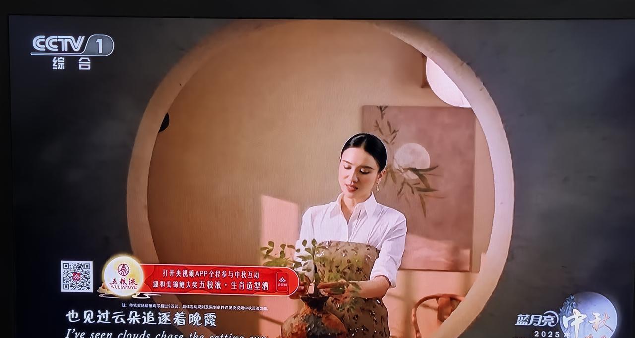 央视2025《中秋晚会》，有十首歌挺动听的。1、韩红《回家》大气磅礴又不失细