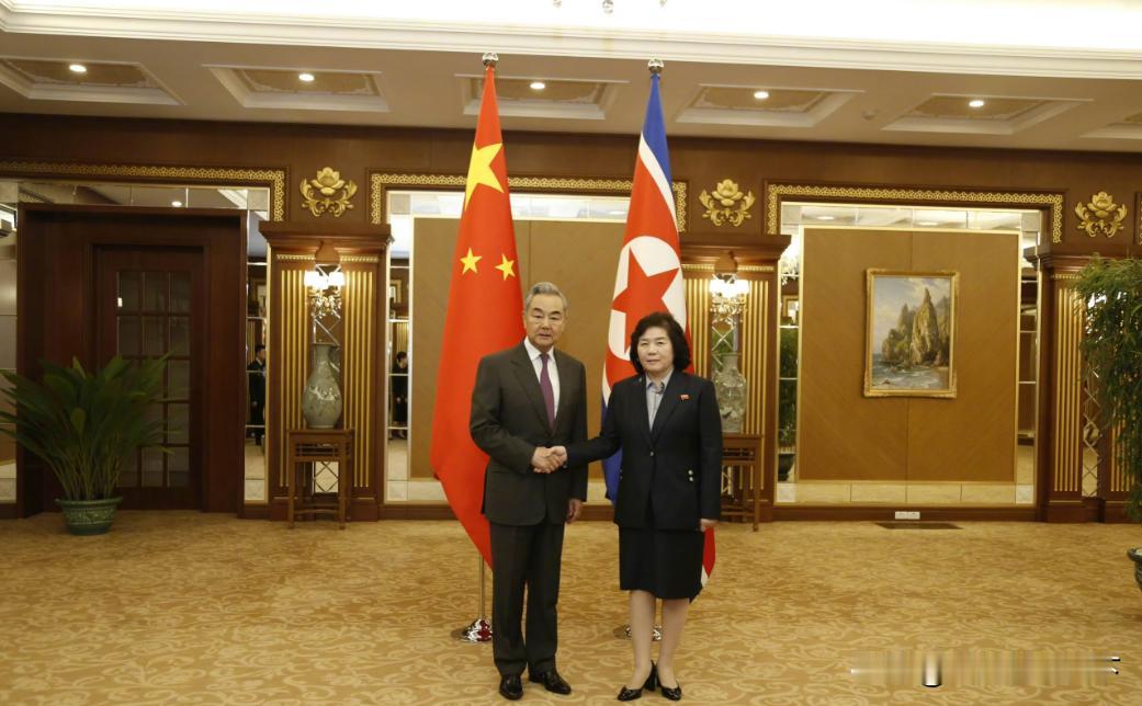 中朝谈妥！这波共识，才是最实在的希望。4月9日，中国外交部长王毅在平壤锦绣山