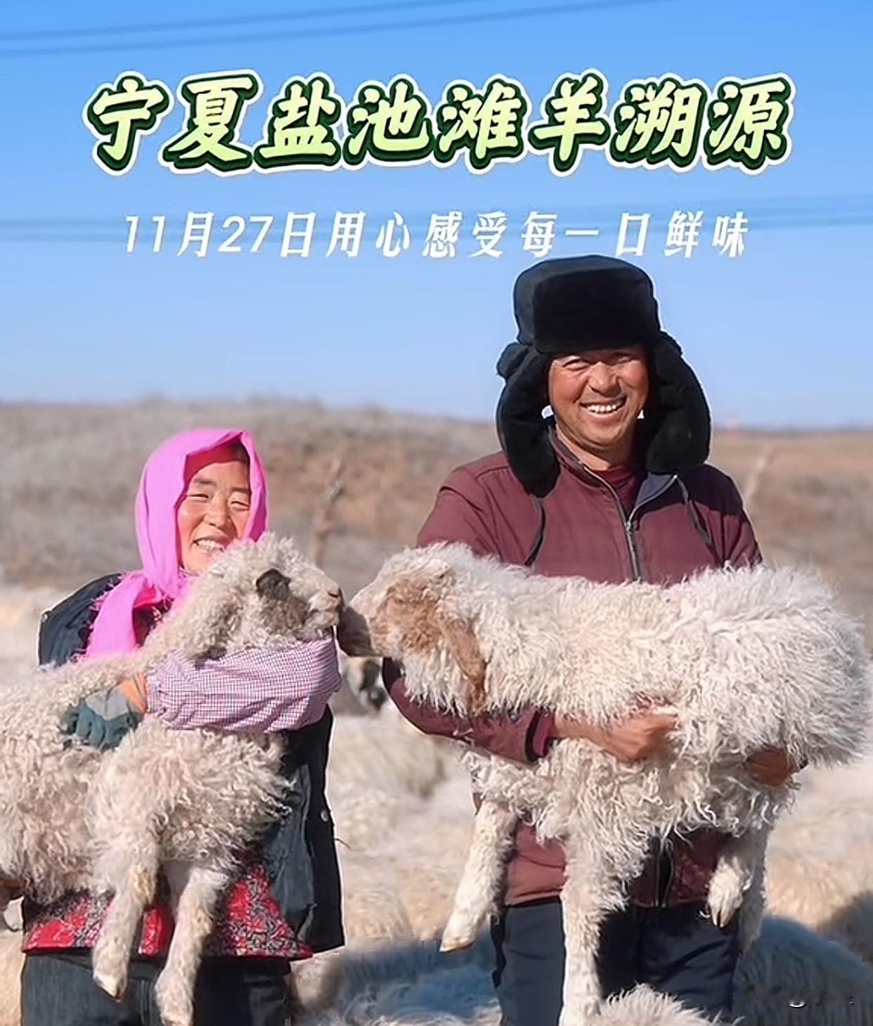 11月27日，与辉同行宁夏滩羊溯源董宇辉和董董两个人过去从中午12点开始，播