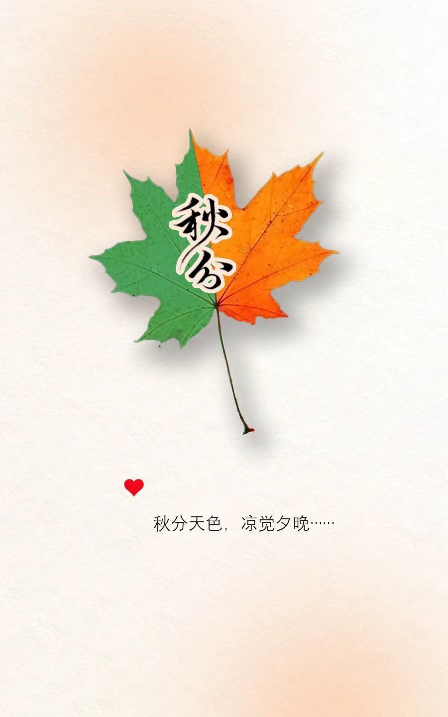 突然发现有些温软的文字，真的很适合写在秋分这一天，就像站在时光的中点，一