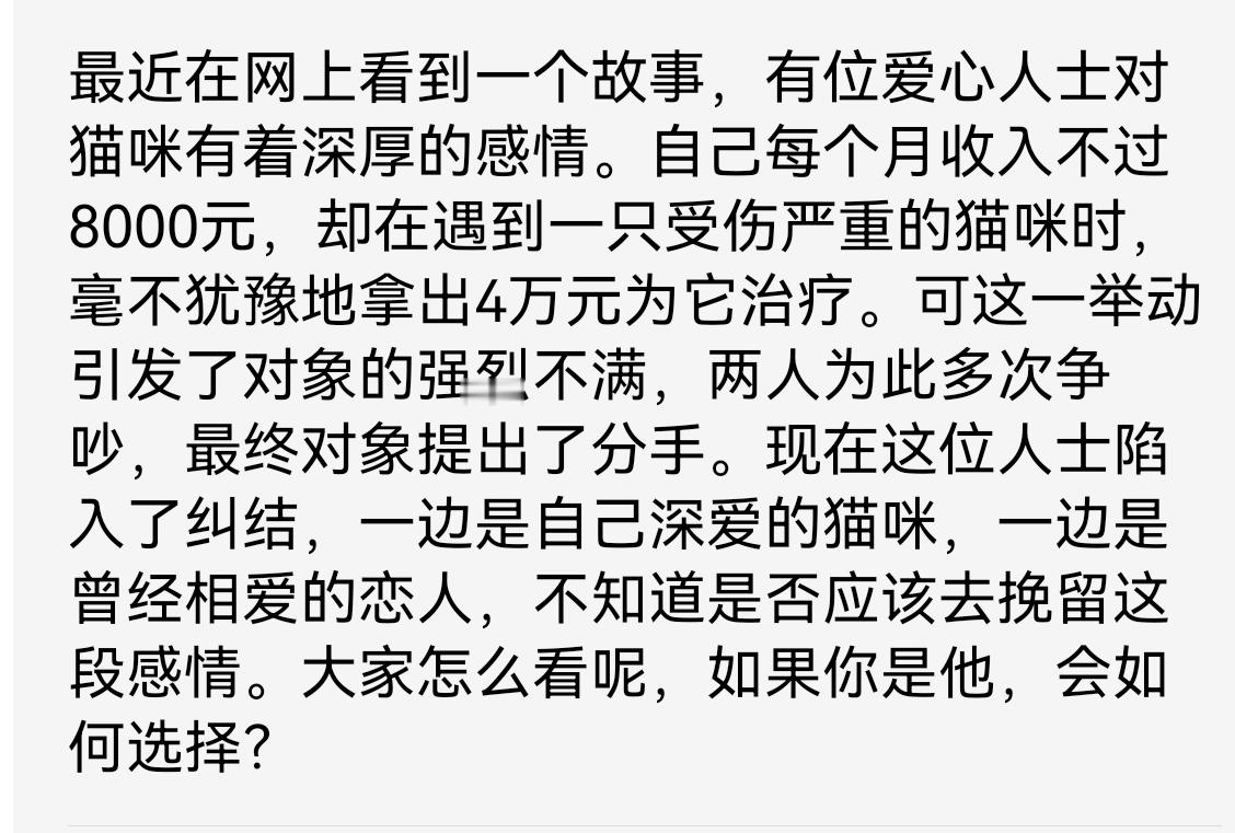 月入仅8000却豪掷4万救猫咪，对象为此提分手，这份感情该挽回吗？