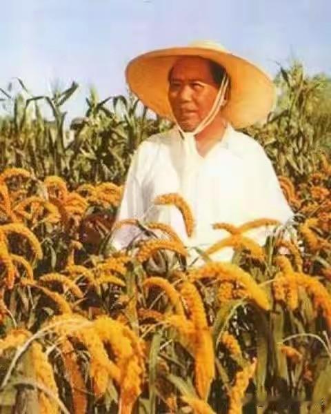 伟人毛主席那时侯人人没有忧愁，人人都有笑脸，心中只有大干快上力争上游，建国初期底