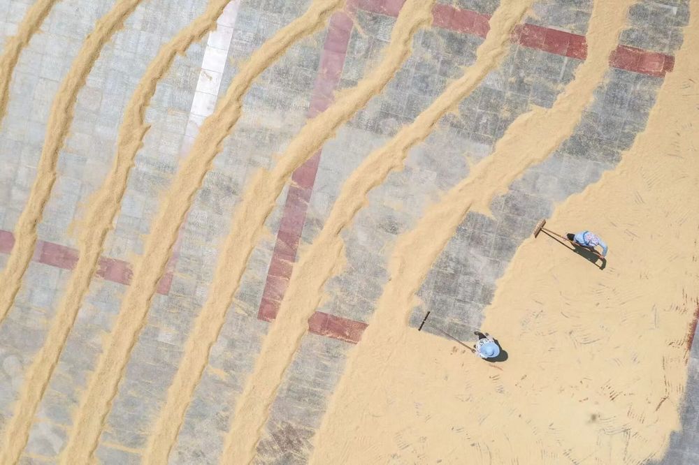 群众没有事就不能进镇政府大院? 央媒调查