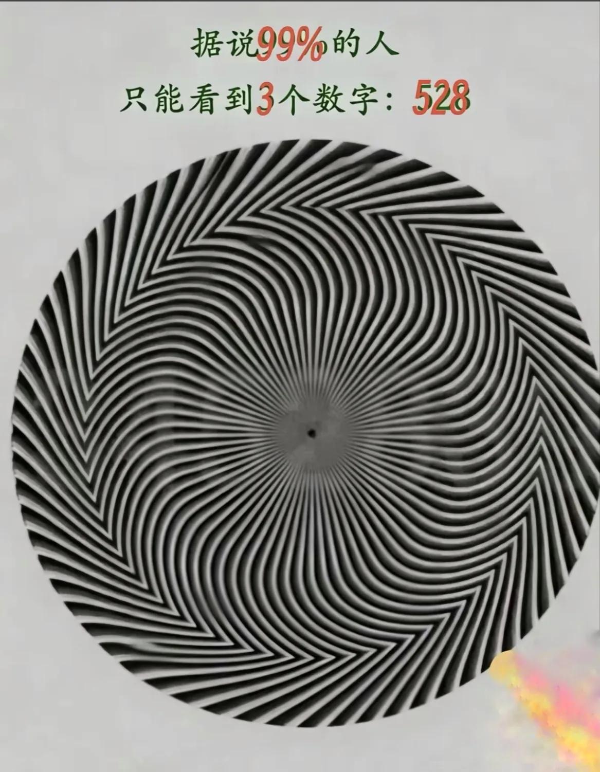 大家盯着中间的小黑点，看到了什么？据说99%的人只能看到“528”这三个数字！能