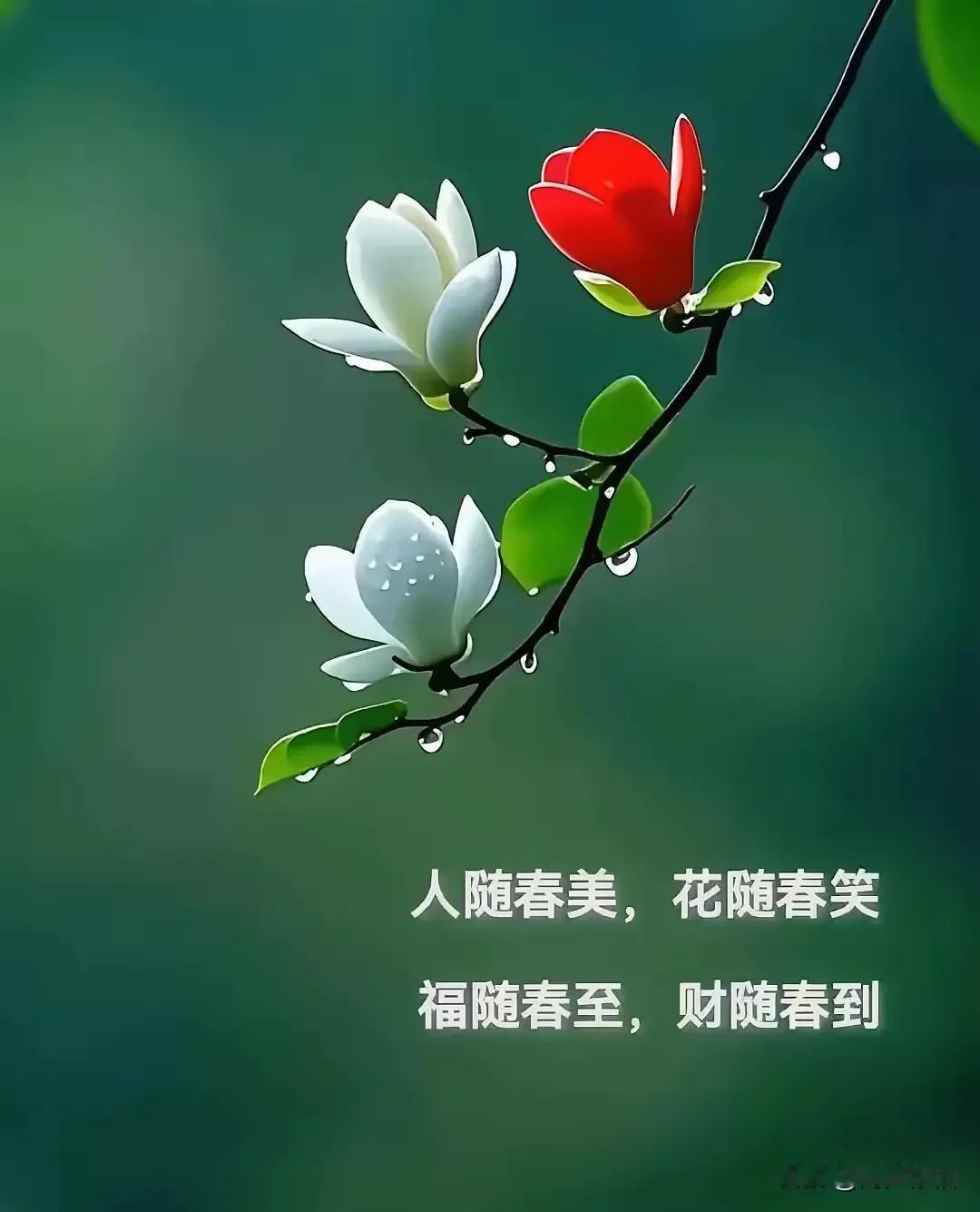 《七律·春日寄福》人间最美是春妍，鸟语花香柳似烟。叠翠青山流秀色，澄