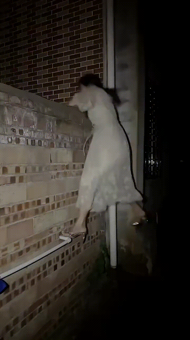 小姐姐这动作，一看就是经常翻墙回家！
