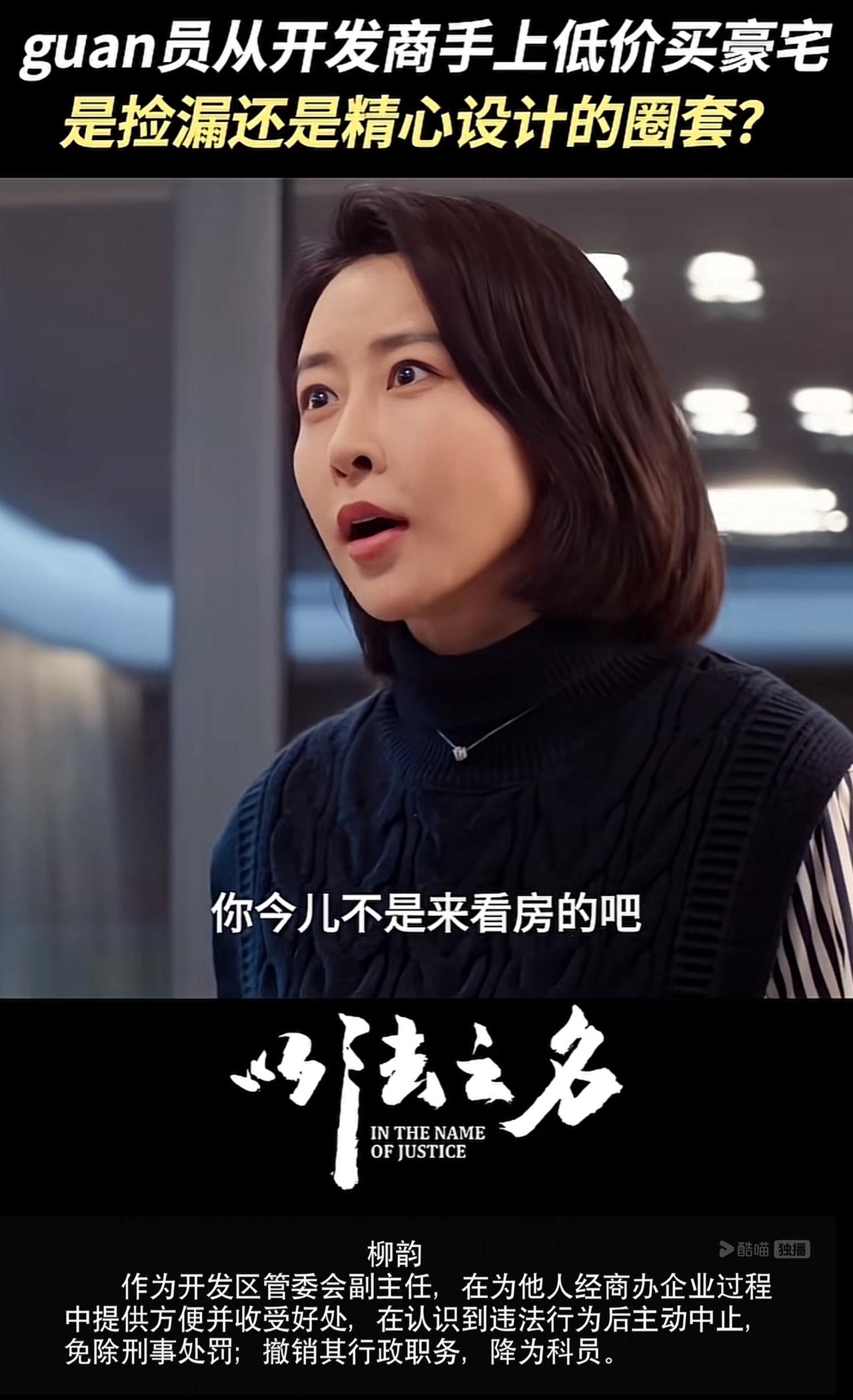 终于看完了由张译、蒋欣主演的热播剧《以法之名》第三十六集大结局，该抓的、该办的都