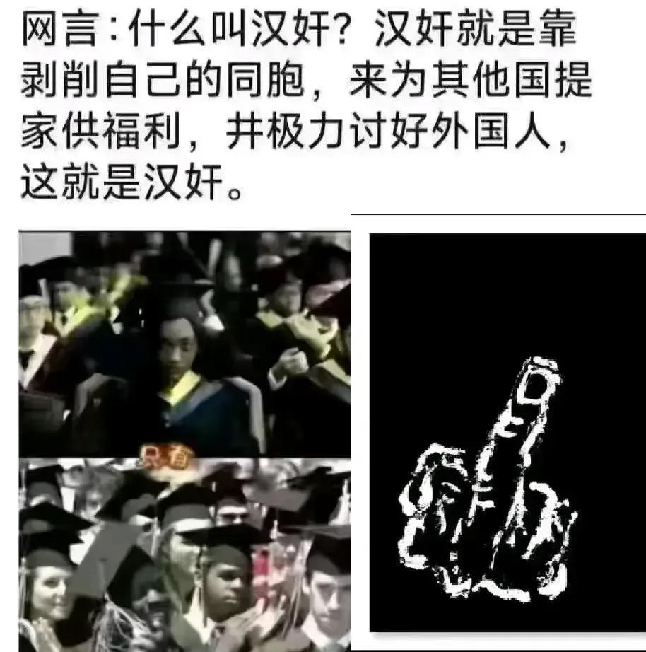 搜了一下汉奸的定义，是这么说的：汉奸是指背叛自己民族或国家、投靠外敌并出卖国家利