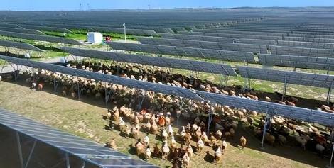 万万没想到，中国基建闹了个大“乌龙”，本打算耗资3亿在荒漠建发电厂，没想到10年