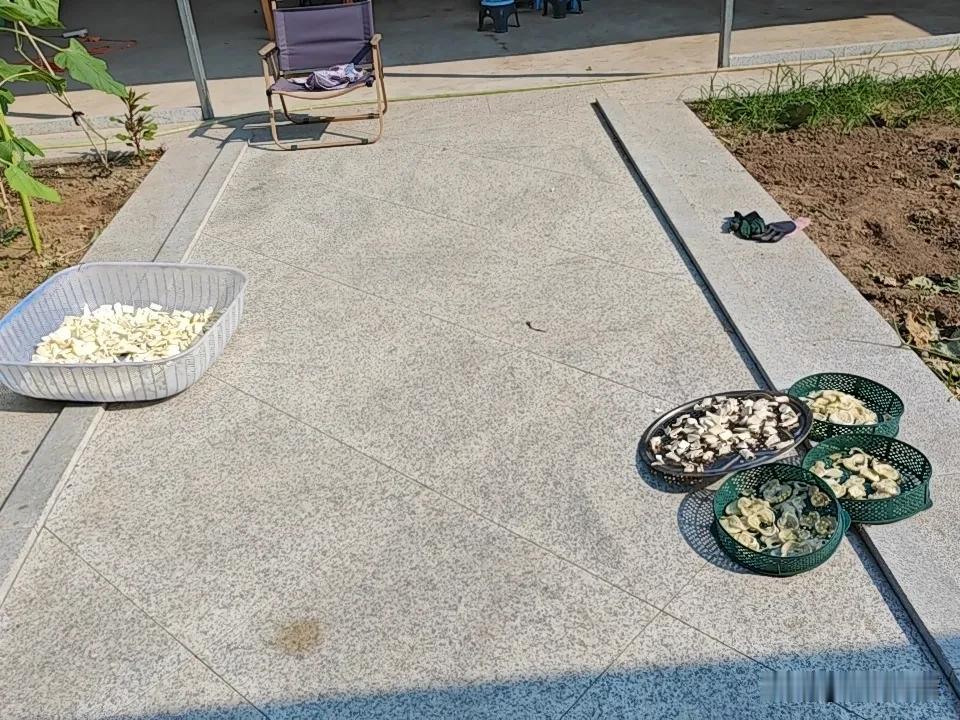 大太阳火辣辣的，北方都热得晕头转向了，南方还不得热死？人人都喊热，有空调的都把