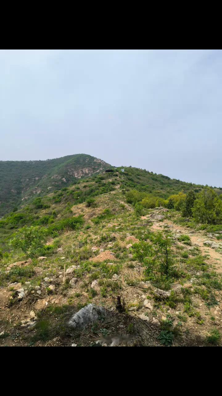 段永平的商业逻辑。段永平说：如果我说勤奋重要你会变得更勤奋吗？如果我说天赋重要