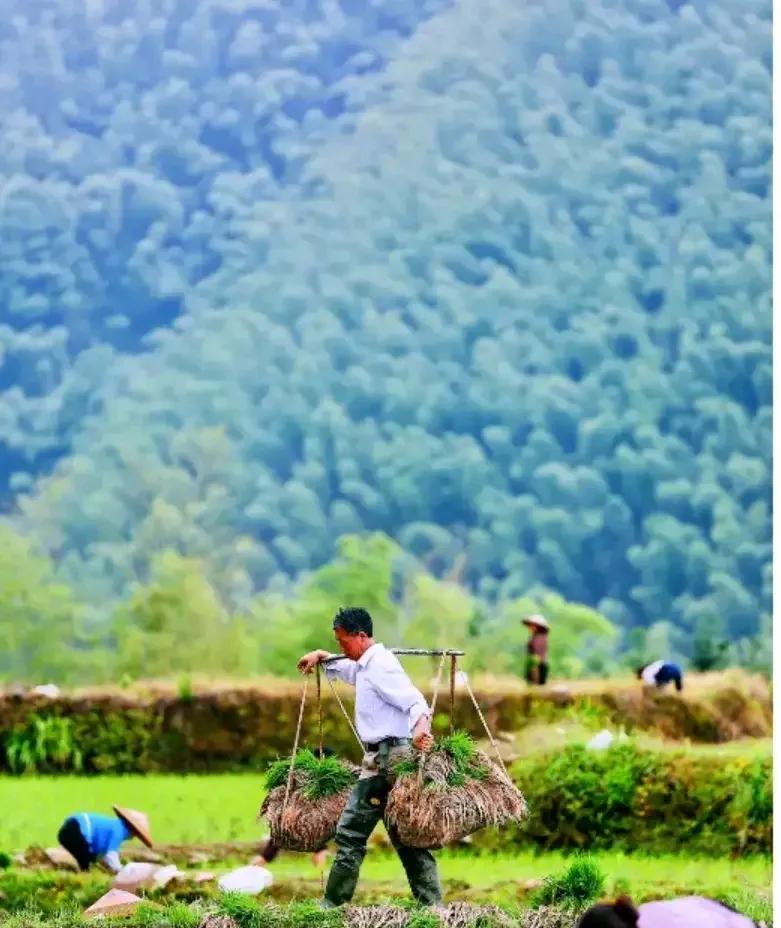农村老人有土地有宅基地不假！但是养老不能全靠土地啊，宅基地修了房子自己住没问题，