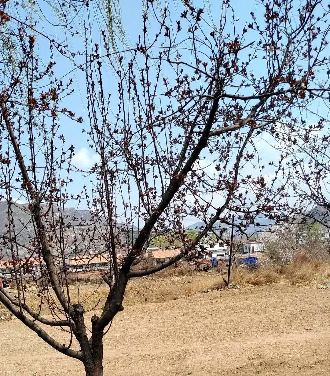 带着女儿回娘家住了10天，临走时，我拿出3000块给爸爸。爸爸摆摆手，我