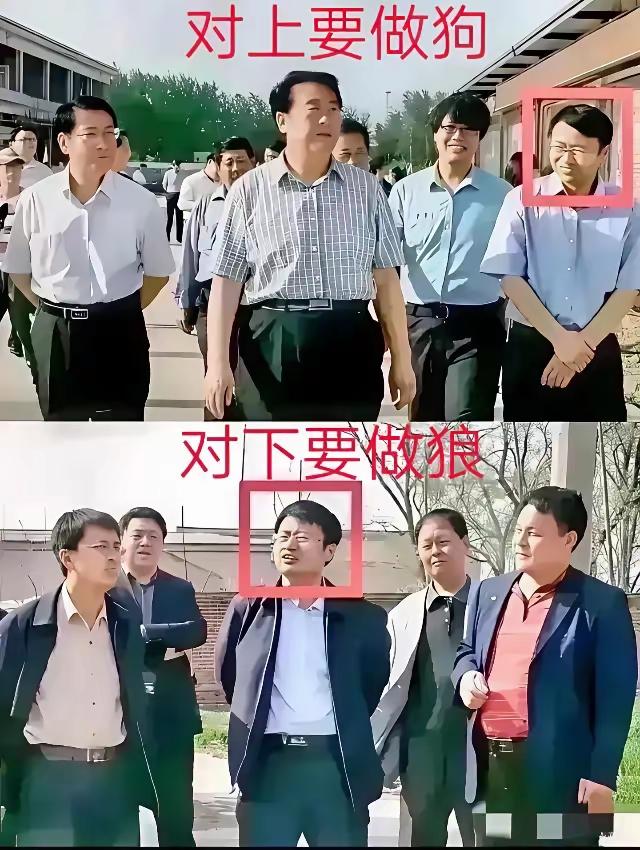 这是一张著名的照片，在没实力时，需要隐忍和装孙子，一旦实力爆棚时，就要展现出绝对