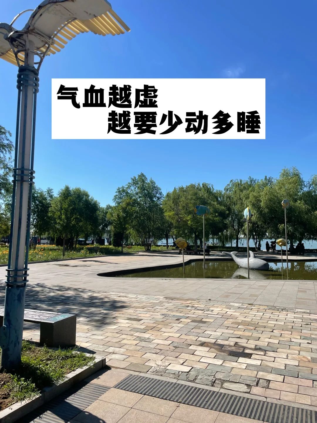 气血越虚，越要少动多睡.