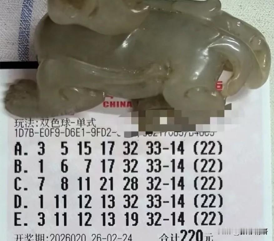 双色球第26020期今晚开奖！凌晨时分，22倍哥已悄然出票——单式票延续了他惯用