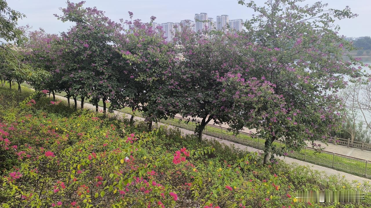 来广西旅居或者旅游的朋友，一定要带羽绒服。今天广西开始降温了，昨天还是挺热的，