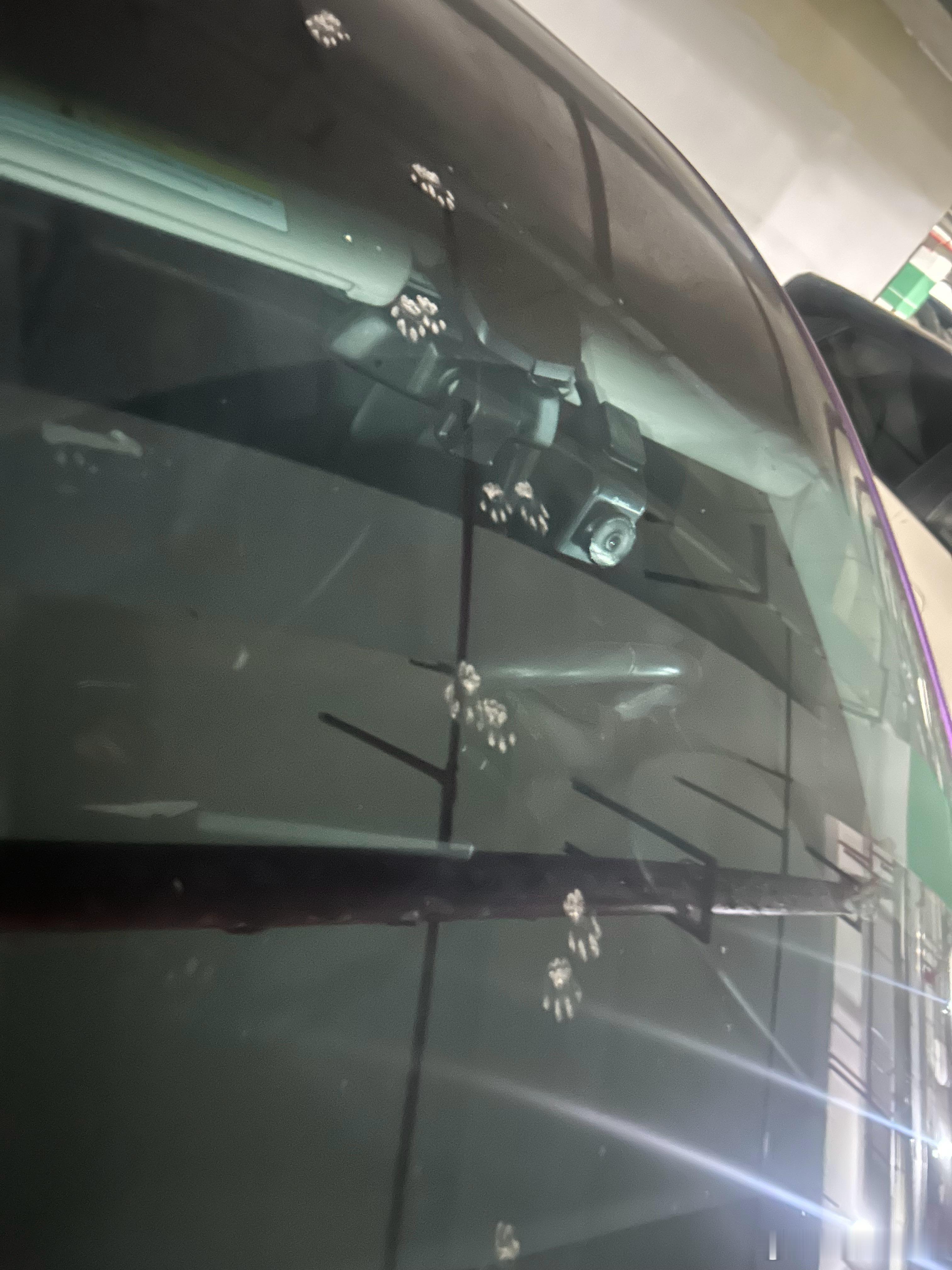 太可爱了真的太可爱了这一列小猫爪只要回温一点就会蚊子咬到贫血，最好用的居然是我家