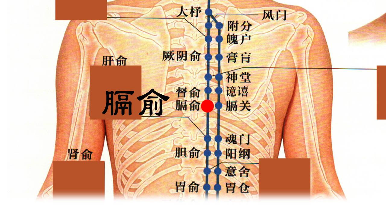 年龄还很年轻却已经有白头发怎么办? 别急, 健康哥教你招美丽女人灸