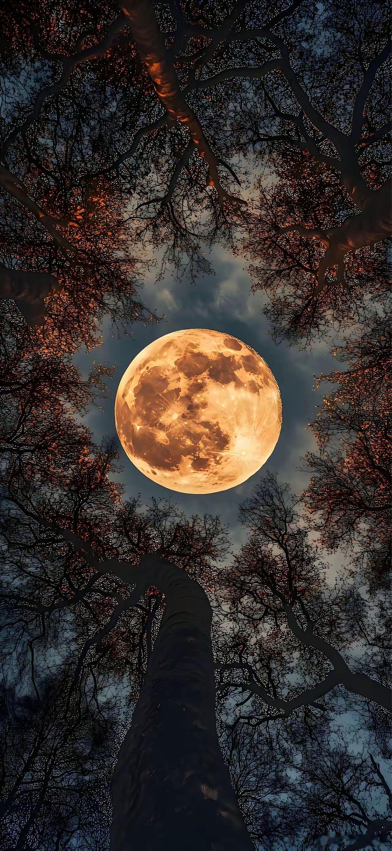 身体越寒火气越大，一个药补足脾肾阳气，上热下寒全改善生活中不少人都有这样的困扰：