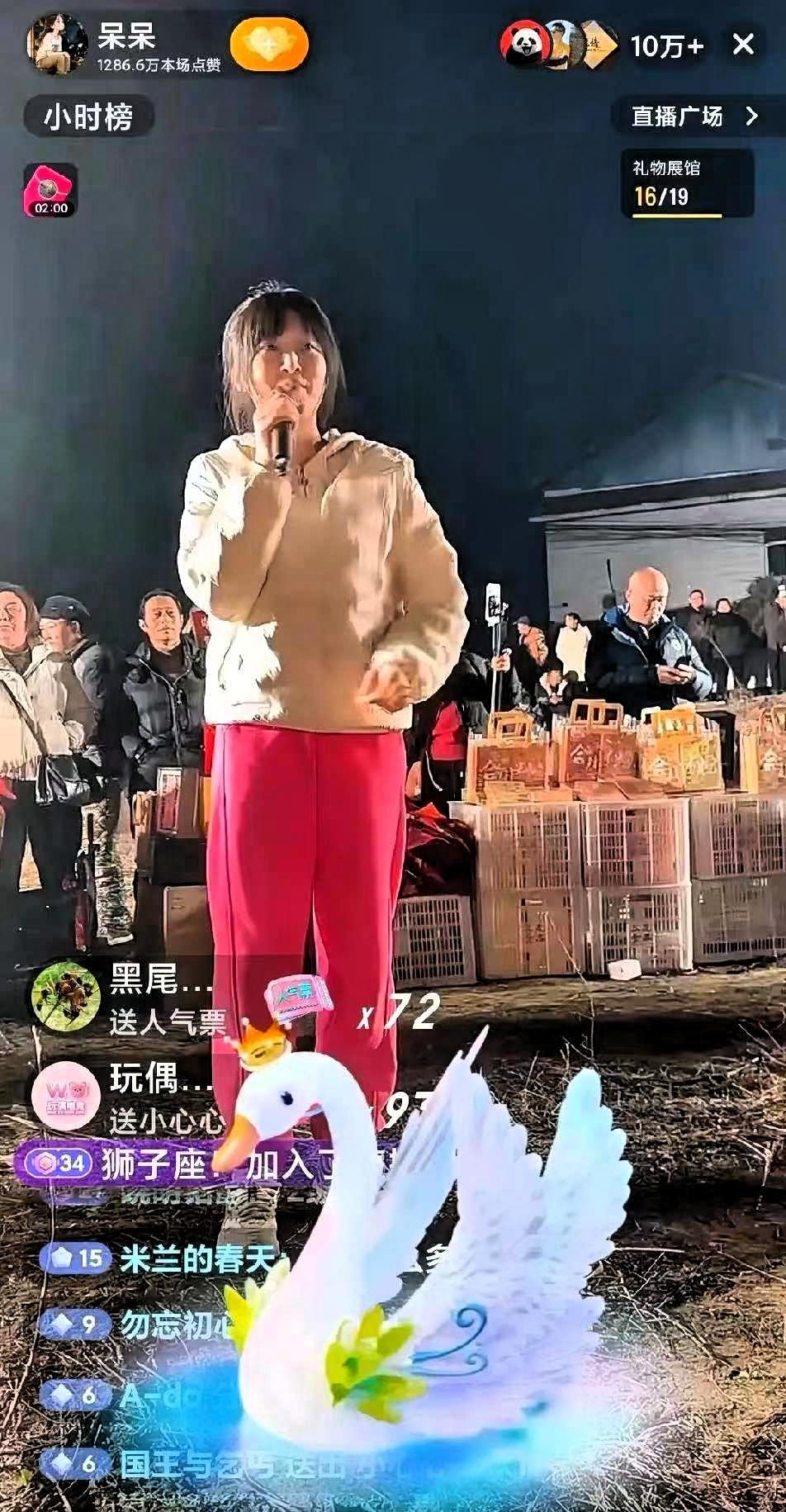 现在除了合川文旅最懵的就是呆呆了，10万人的直播，换谁谁不懵呢！原本只是发