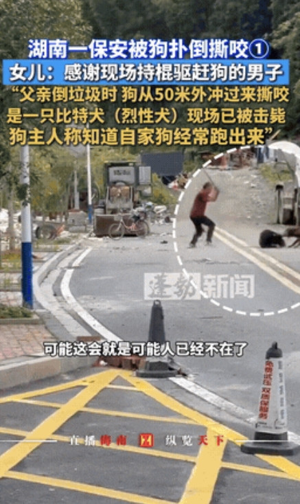 “直接击毙！”湖南，一小区保安像往常一样出去倒垃圾，岂料！被突然冲出的大狗扑倒在