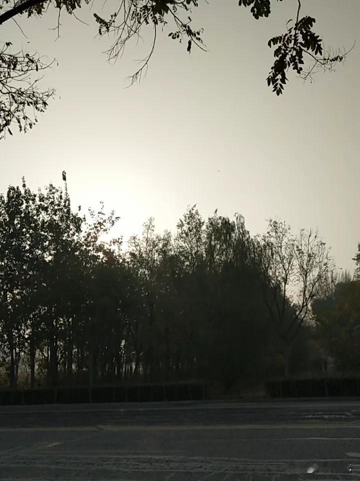 我听过最励志的文案是“把今天的小事做透，好运自会撞上门”。比起“以梦为马