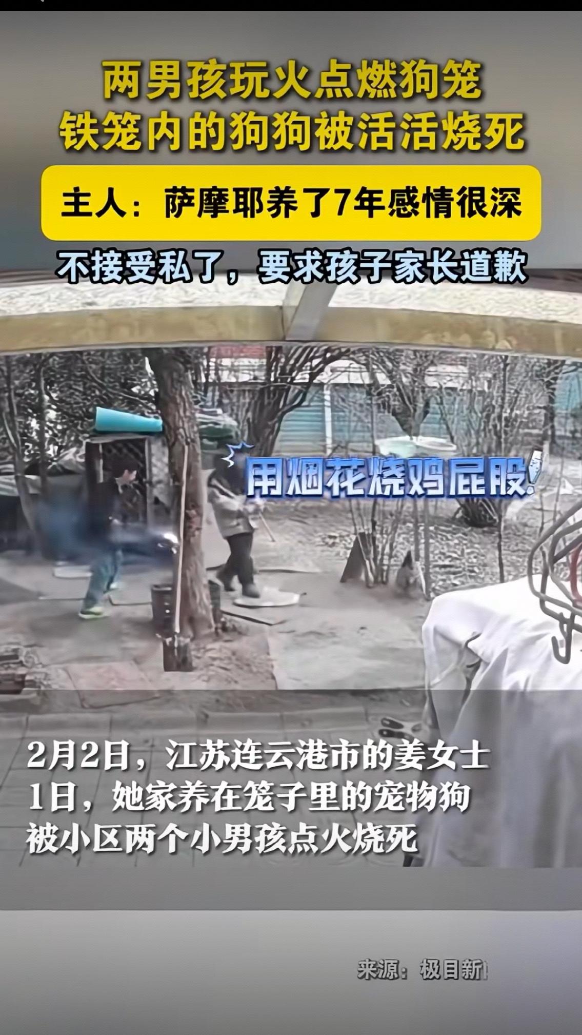 看完监控视频里那一幕，没人能不为之揪心——两个男孩两次点燃烟花伸进狗笼，从轻烟袅