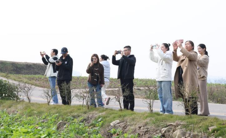 【聚焦文旅融合！“天府南门·大美仁寿”媒体采风活动启动】11月28日，“天府南门
