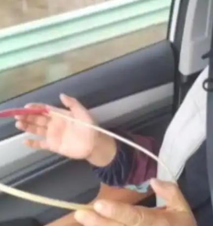 “人怎么能这么聪明！”浙江，一男子的母亲晕车严重，为了让母亲舒服，男子找了一个树