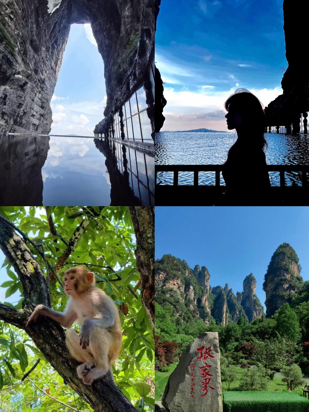 上次去张家界游玩，我们第一时间就直奔当地地标建筑“七十二奇楼”。到了现场才发现，