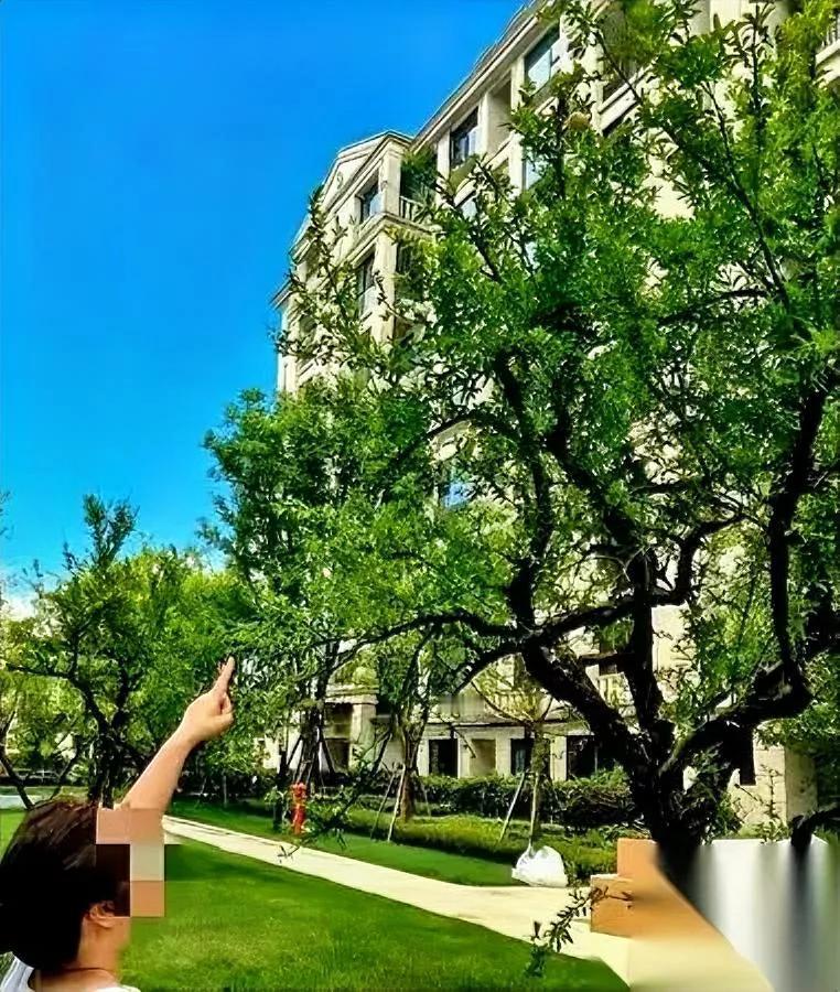 闺蜜急诊医生，昨晚说了实话饮料当水喝有多可怕？她戳穿了一个真相：甭管是带