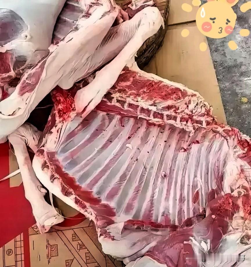 农村博主分享杀羊全过程，竟然赚了538元！你还在等什么？有一位农村里的博主，