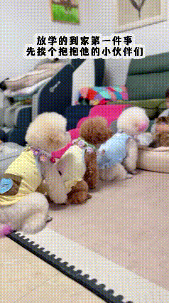 养娃又养宠，快乐直接翻倍！这画面太治愈了😭谁懂啊！养娃又养宠的快乐，真的